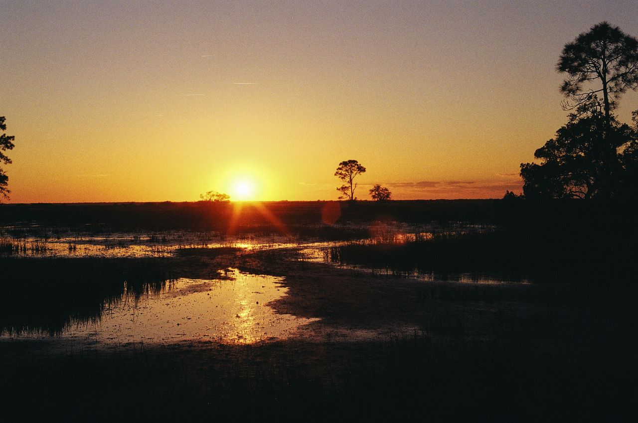 Airboat run through the wetlands